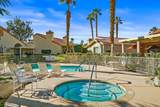 42334 Sari Court - Photo 39