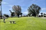 33423 Barcelona Drive - Photo 47