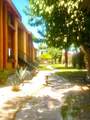 48255 Monroe Street - Photo 1