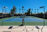 29118 Desert Princess Drive - Photo 27