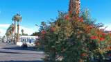 84136 Ave 44, #422 - Photo 4