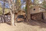 43307 Sheephorn Road - Photo 39