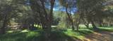 15982 Calle Arroyo - Photo 3