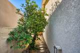 51800 Avenida Ramirez - Photo 20