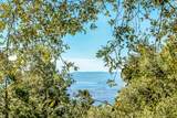 52365 Pine Ridge Road - Photo 2