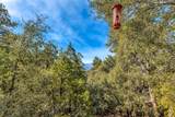 52365 Pine Ridge Road - Photo 30