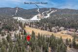 43151 Sheephorn Road - Photo 4