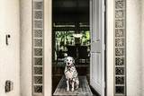 75982 Via Allegre - Photo 6