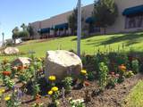 74456 Angels Camp Road - Photo 31
