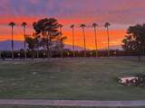 74626 Mexicali Rose - Photo 41