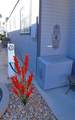84136 Ave 44, #466 - Photo 47