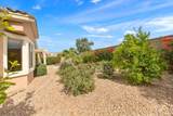 37818 Turnberry Isle Drive - Photo 43