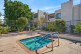 756 Violeta Drive - Photo 39