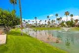 69411 Ramon Road - Photo 31