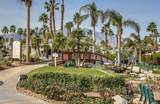 69411 Ramon Road - Photo 44