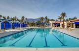 69411 Ramon Road - Photo 52