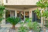 1552 Camino Real - Photo 34