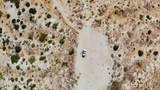 102 Matzene Drive - Photo 6