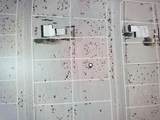 2761 Michigan Avenue - Photo 2