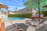 310 Palm Canyon Drive - Photo 18