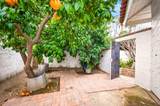 48825 Ave Anselmo - Photo 49