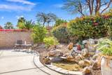 34901 Staccato Street - Photo 38