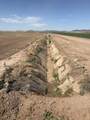 187 Water Toll Acres On Ben Hulse Highway - Photo 10