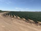 187 Water Toll Acres On Ben Hulse Highway - Photo 2