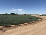 187 Water Toll Acres On Ben Hulse Highway - Photo 5