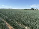 187 Water Toll Acres On Ben Hulse Highway - Photo 6