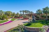 81636 Andalusia - Photo 46