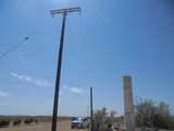 277 Acres - Photo 11