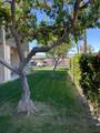 77805 California Drive - Photo 3