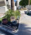 69411 Ramon Road - Photo 1