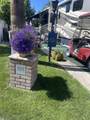 69411 Ramon Road - Photo 1