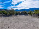 206 Palm Ridge - Photo 9