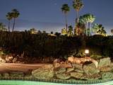 73062 Monterra Circle South Circle - Photo 48