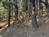 00000 Tahquitz View Drive - Photo 3