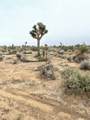 58383 Beaver Tail Lane - Photo 8