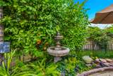69411 Ramon Road - Photo 4