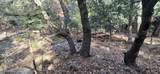 0 Alder Creek Road - Photo 2