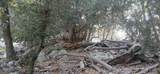 0 Alder Creek Road - Photo 3