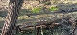 0 Alder Creek Road - Photo 4