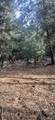 0 Alder Creek Road - Photo 5
