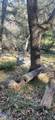 0 Alder Creek Road - Photo 7