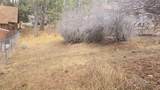 0 Conifer Conifer - Photo 4
