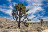 101 Hondo Street - Photo 12