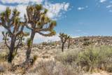 101 Hondo Street - Photo 13