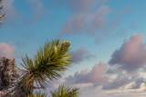 101 Hondo Street - Photo 23