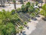 66790 Martinez Road - Photo 101
